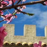 Candalu - Giardinata 4* Valderice