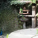 Candalu - Giardinata Oda ve Kahvaltı