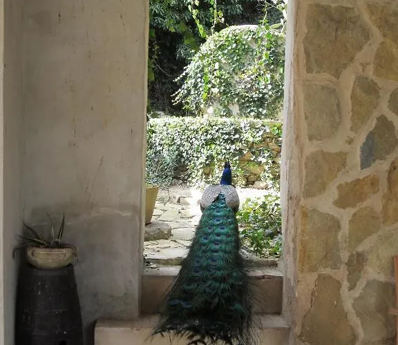Candalu - Giardinata Bed & Breakfast