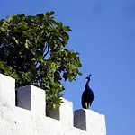 Candalu - Giardinata Bed and Breakfast 4*