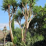Candalu - Giardinata 4*