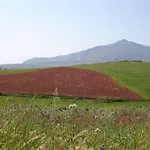 Candalu - Giardinata 4*