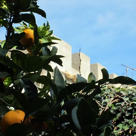 Candalu - Giardinata Bed & Breakfast 3*