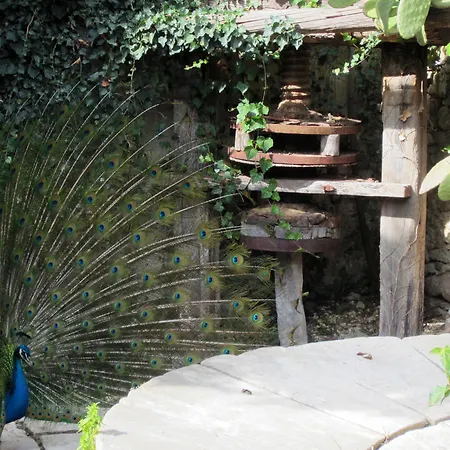 Candalu - Giardinata Bed & Breakfast