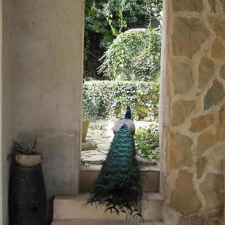 Candalu - Giardinata Bed & Breakfast