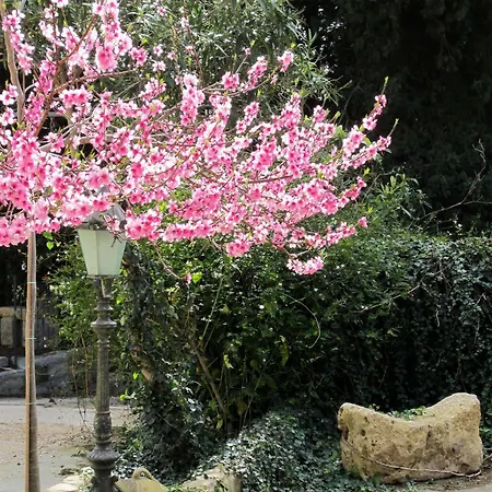 Candalu - Giardinata Bed & Breakfast Valderice