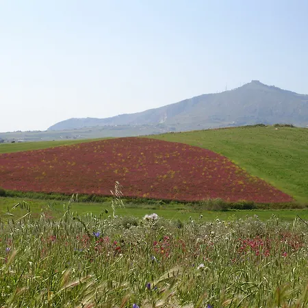 Bed & Breakfast Candalu - Giardinata Valderice